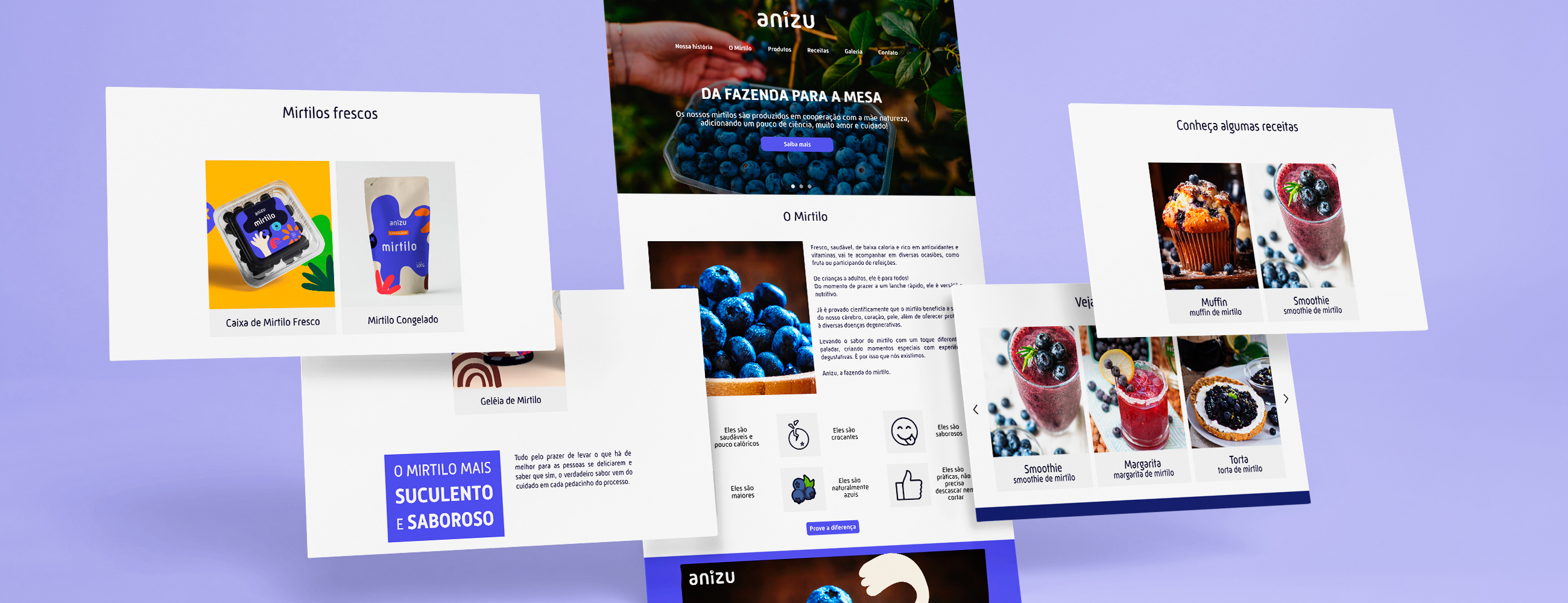 Desenvolvimento de Website da Anizu