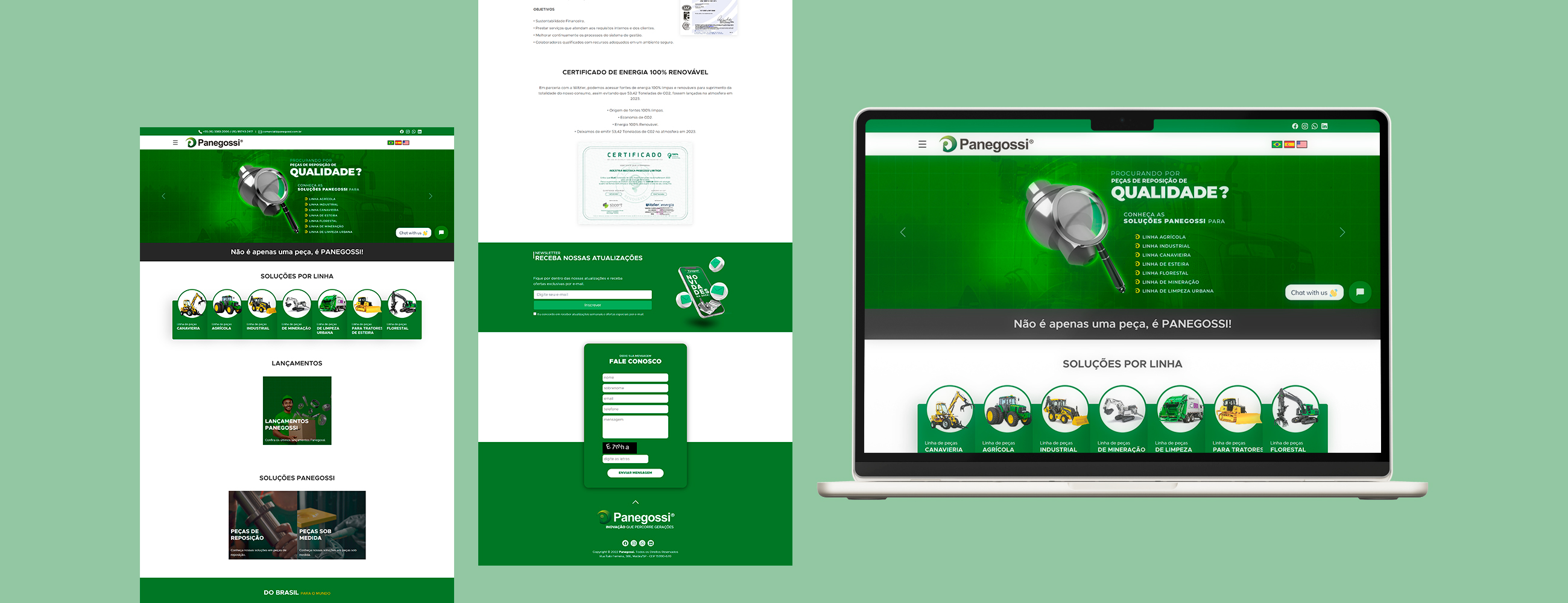 Desenvolvimento de Website da Panegossi